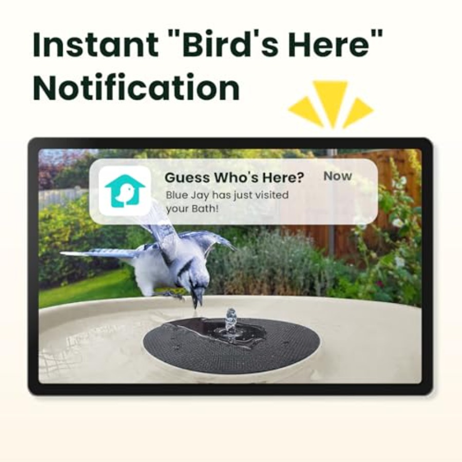 Bird Watching Smart Bird Bath  - огляд і ціна Watch Smart Smartwatch